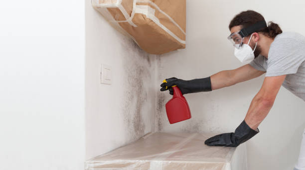 Professional Basement Mold Removal technician working in Whippany, NJ