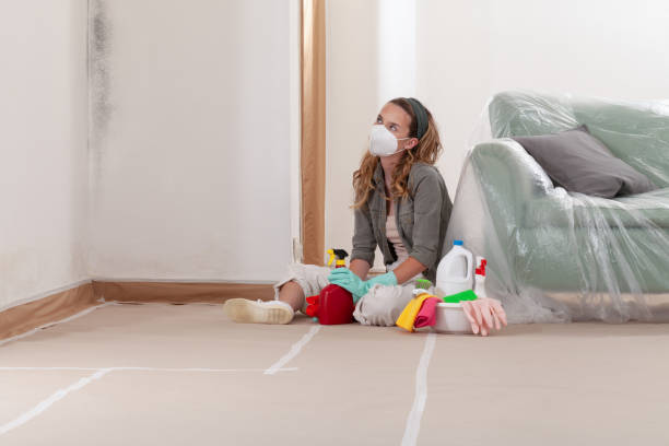 Reliable Basement Mold Removal contractor in Whippany, NJ by WQB Mold Removal